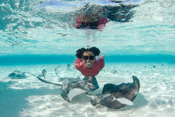 Swim with the friendly Stingrays